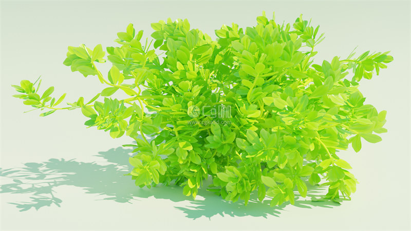 Blender工程-植物模型绿植模型