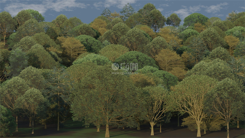Blender工程-树木模型灌木丛模型