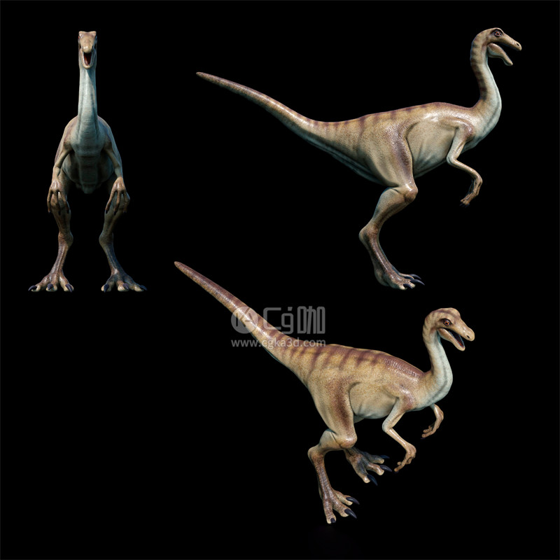 Blender工程-恐龙模型动物模型似鸡龙模型