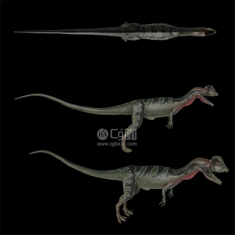 Blender工程-恐龙模型动物模型双脊龙模型