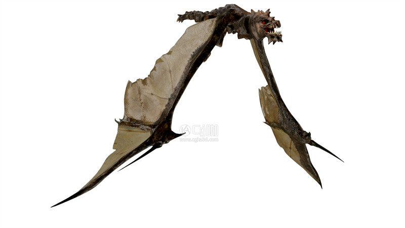 Blender工程-食蚁兽龙模型恐龙模型翼龙模型