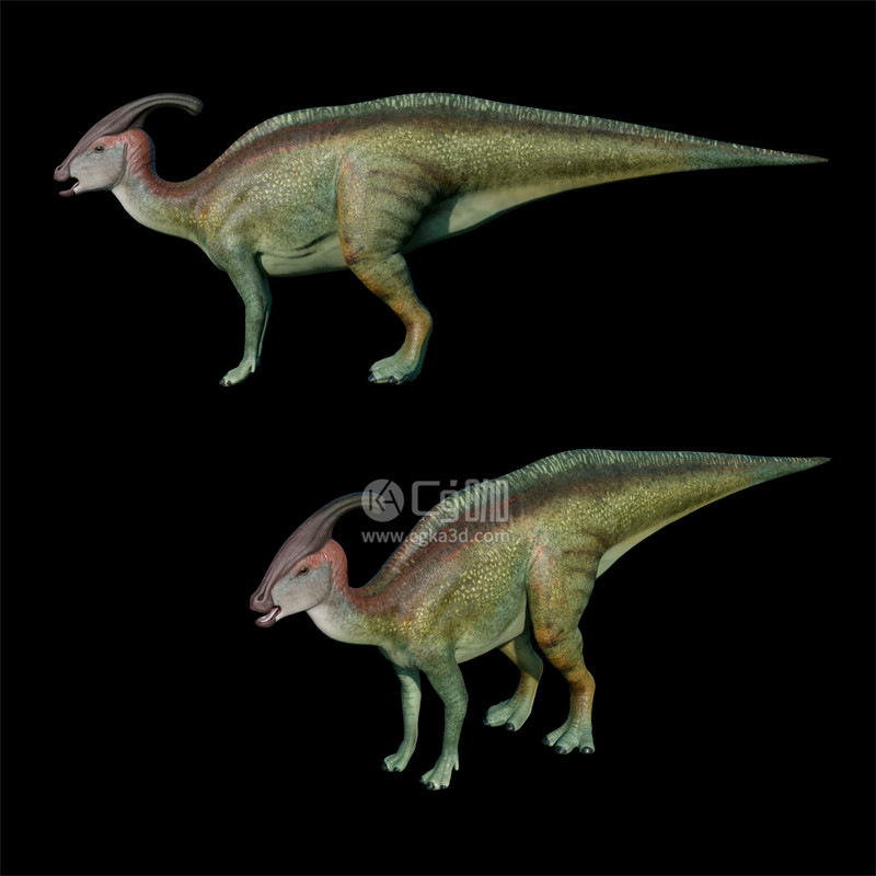 Blender工程-栉龙模型恐龙模型动物模型