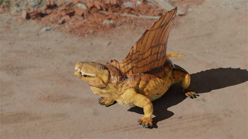 Blender工程-异齿龙玩具模型恐龙玩具模型