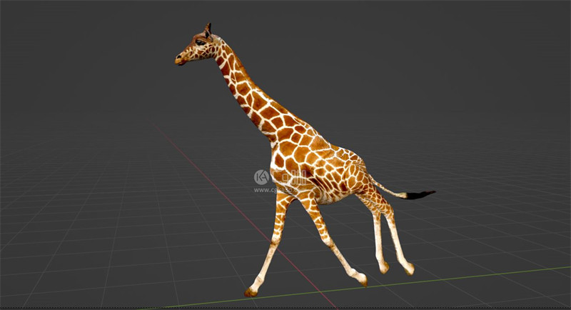Blender工程-长颈鹿模型动物模型
