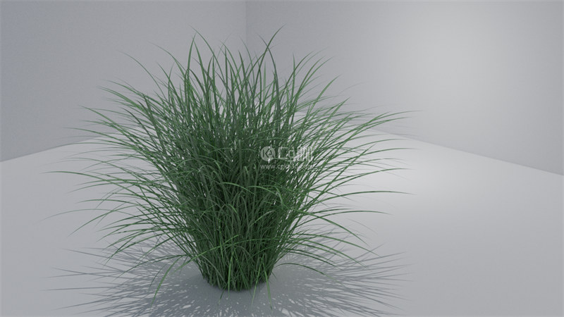 Blender工程-野草模型芒草模型