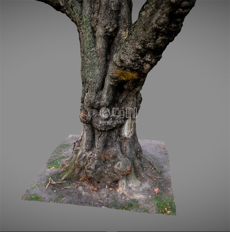 Blender工程-树干模型树桩模型老树模型