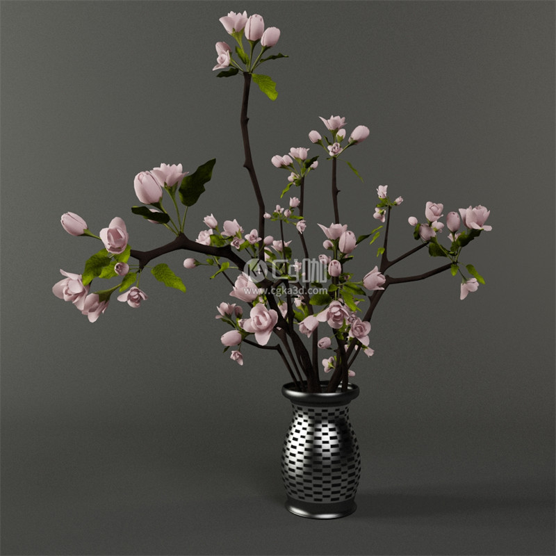 CG咖-花瓶模型海棠模型鲜花模型花卉模型