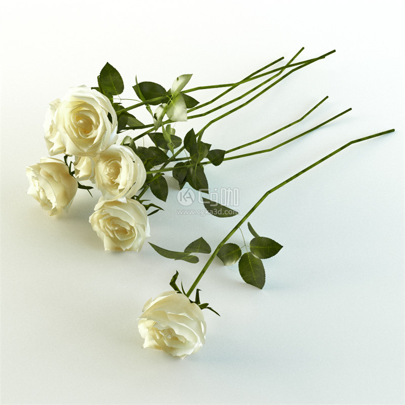 CG咖-玫瑰花模型鲜花模型花卉模型白玫瑰模型白玫瑰花模型