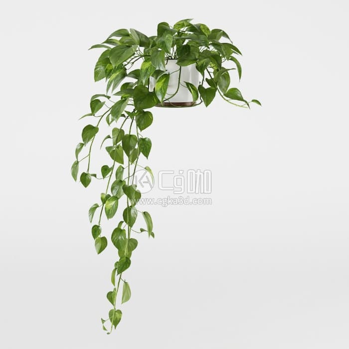 CG咖-植物盆栽模型绿植模型