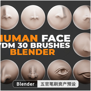 Blender人脸耳鼻眼睛五官笔刷资产预设 Human Face VDM Brushes