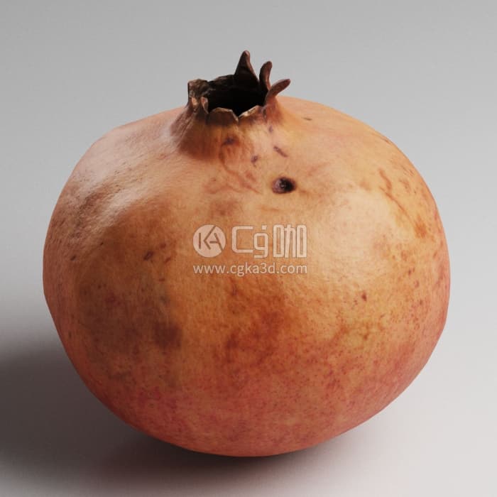 CG咖-Blender水果石榴模型