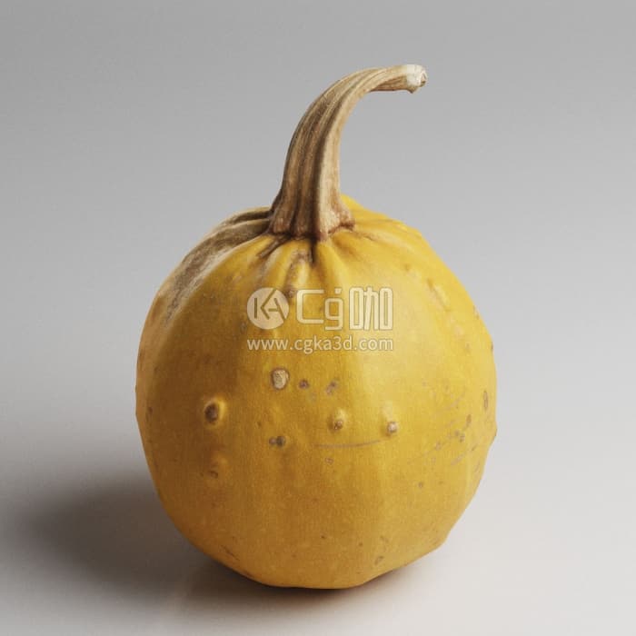 CG咖-Blender蔬菜南瓜模型