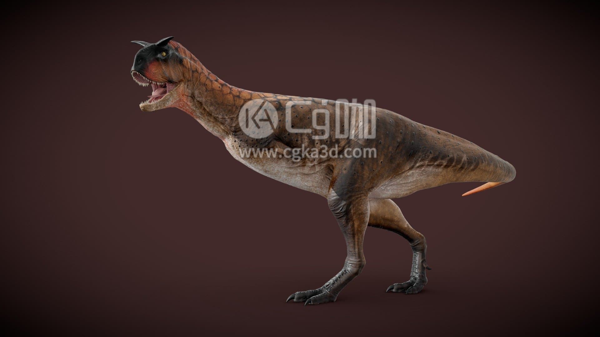 CG咖-blender-食肉牛龙恐龙模型