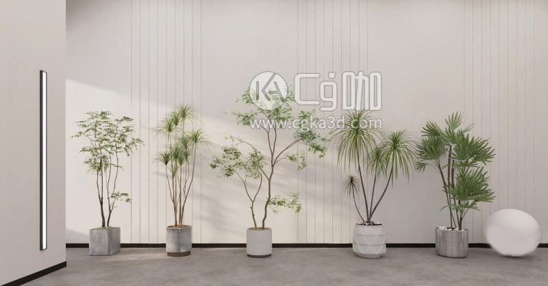CG咖-blender-绿植植物盆栽
