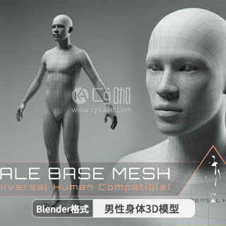 Blender男性身体3D模型 Universal Human Male Base Mesh v2.1
