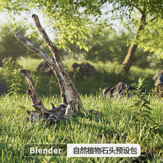 Blender自然环境植物石头插件预设包 BagaPie Modifier Assets V10.4.2+预设库